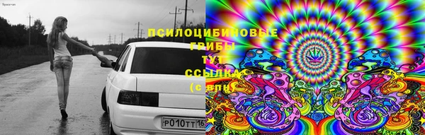 амф Балахна