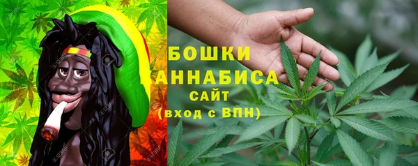 ГАЛЛЮЦИНОГЕННЫЕ ГРИБЫ Баксан